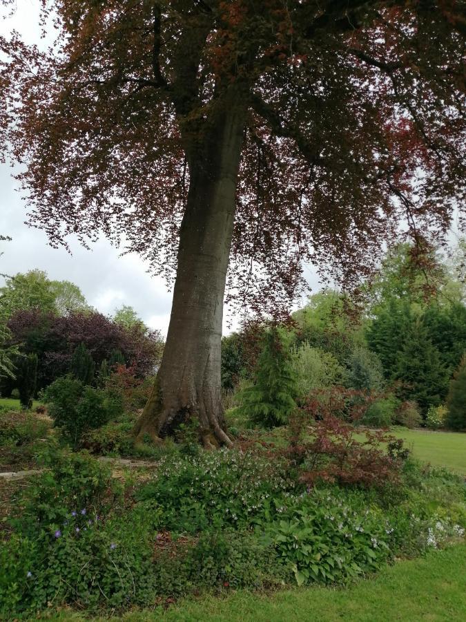 Chambre Le Notre Le Domaine Des Jardins De Bracquetuit Экстерьер фото