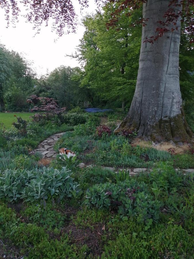 Chambre Le Notre Le Domaine Des Jardins De Bracquetuit Экстерьер фото