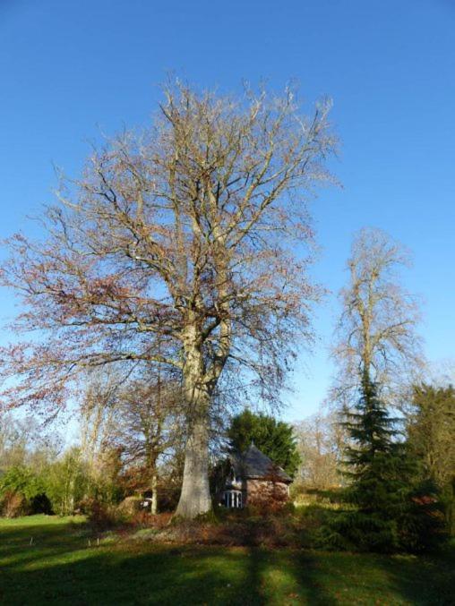 Chambre Le Notre Le Domaine Des Jardins De Bracquetuit Экстерьер фото