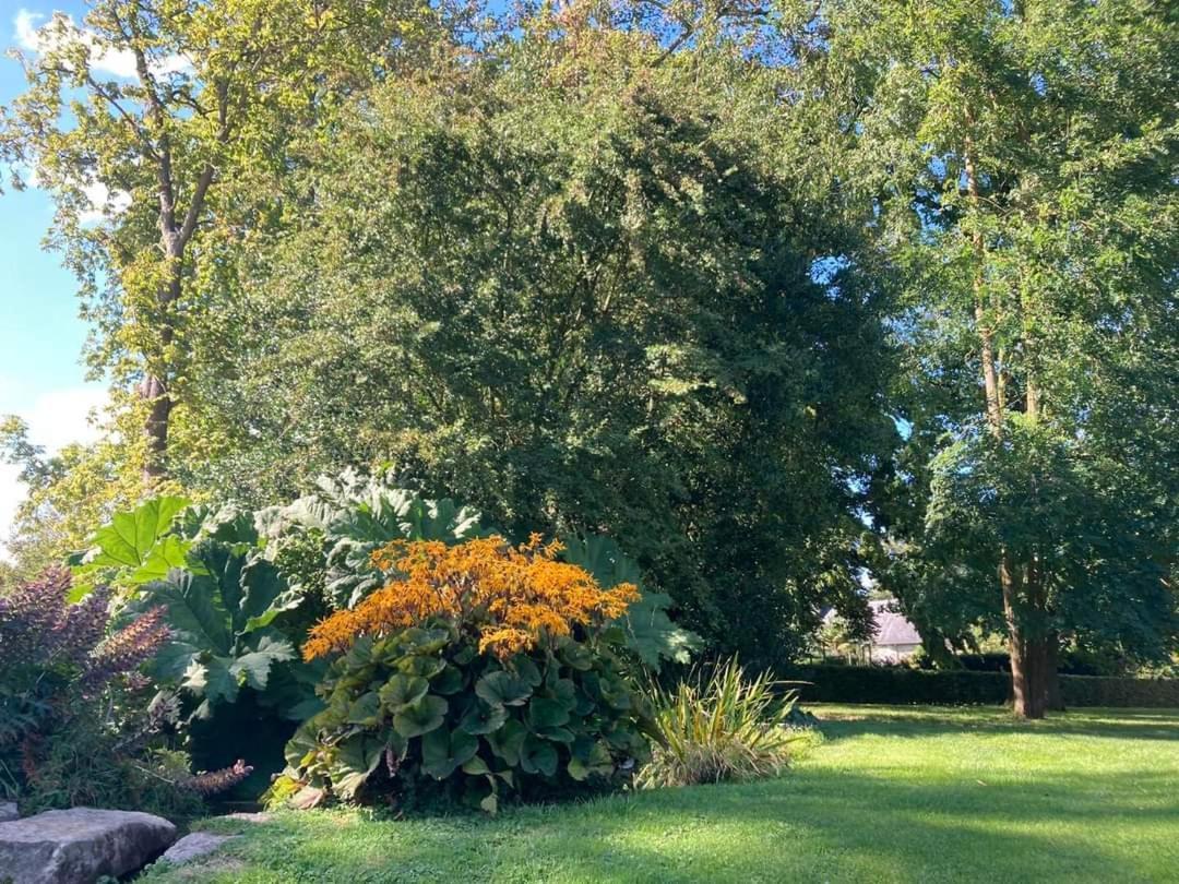 Chambre Le Notre Le Domaine Des Jardins De Bracquetuit Экстерьер фото